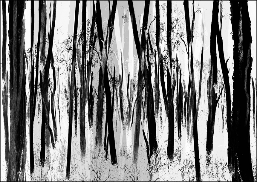 Creative_577_wetland trees silhouettes